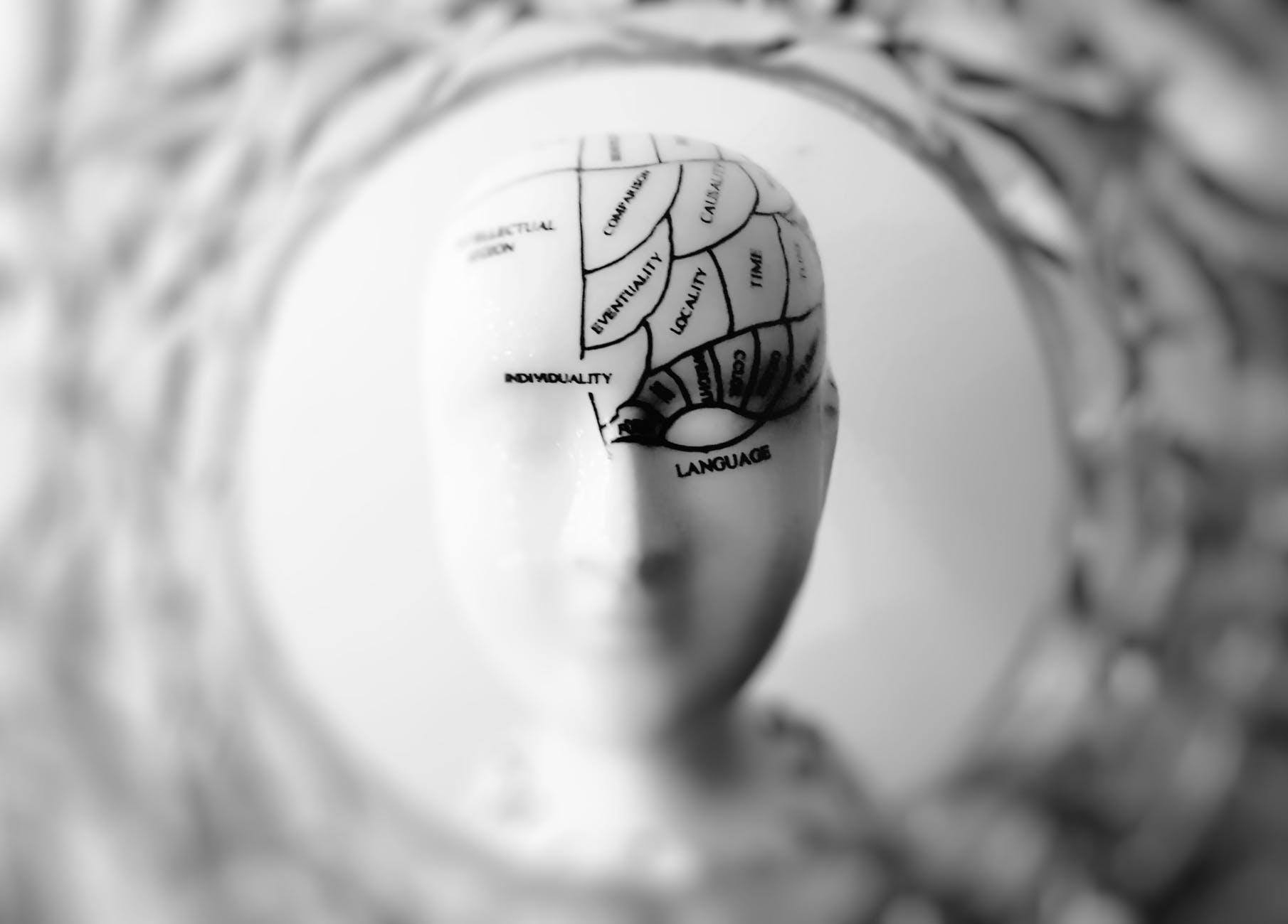 your child's brain is growing too!!
