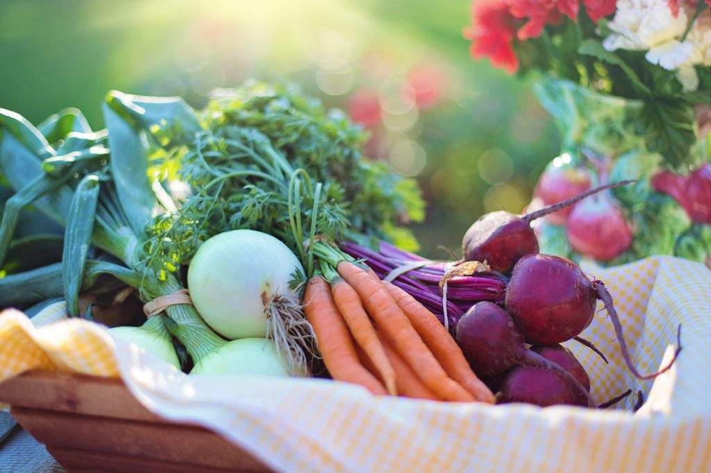 the meaning of organic
