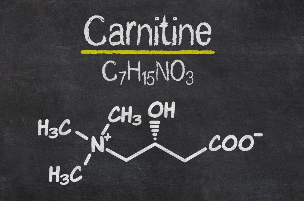 what is L cxarnitine