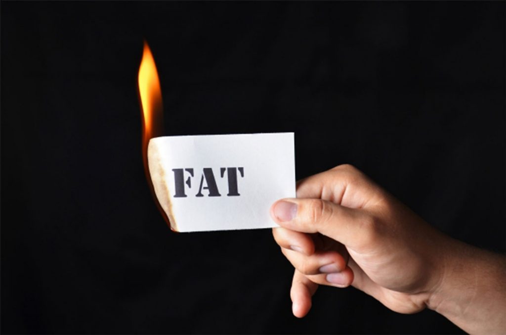 L-Carnitine- Does it help in burning fats?