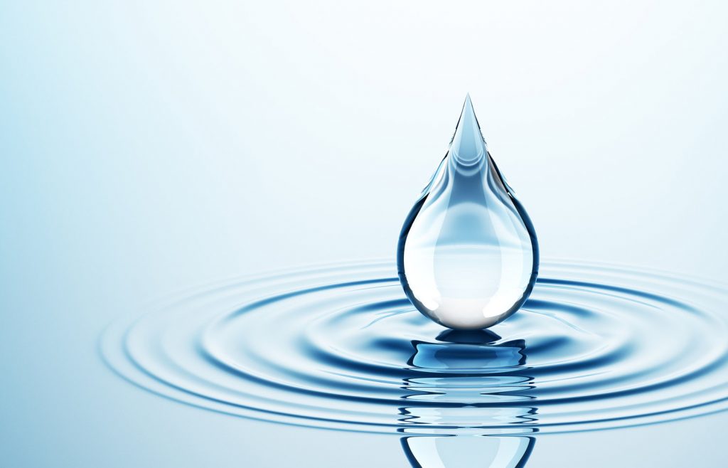 fluids