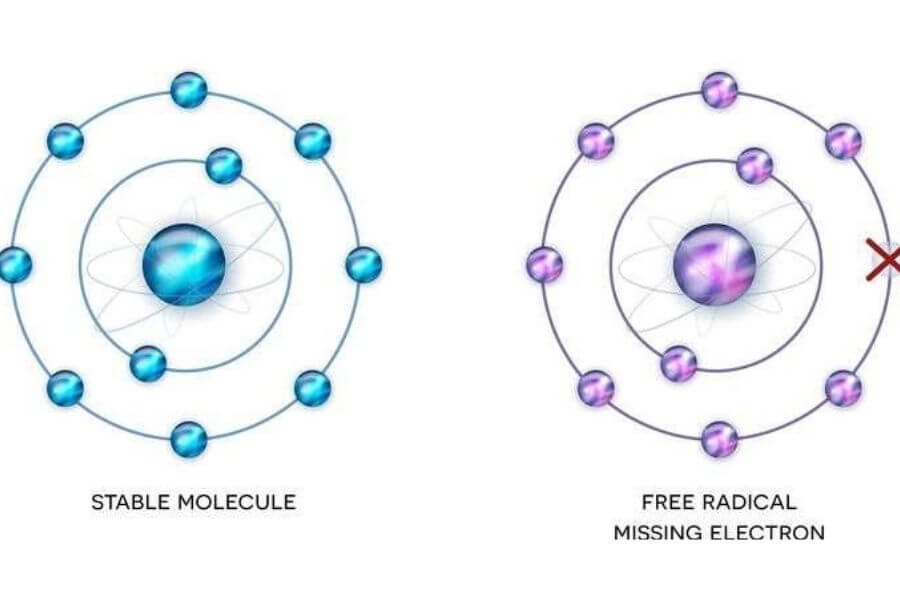What Are Free Radicals?